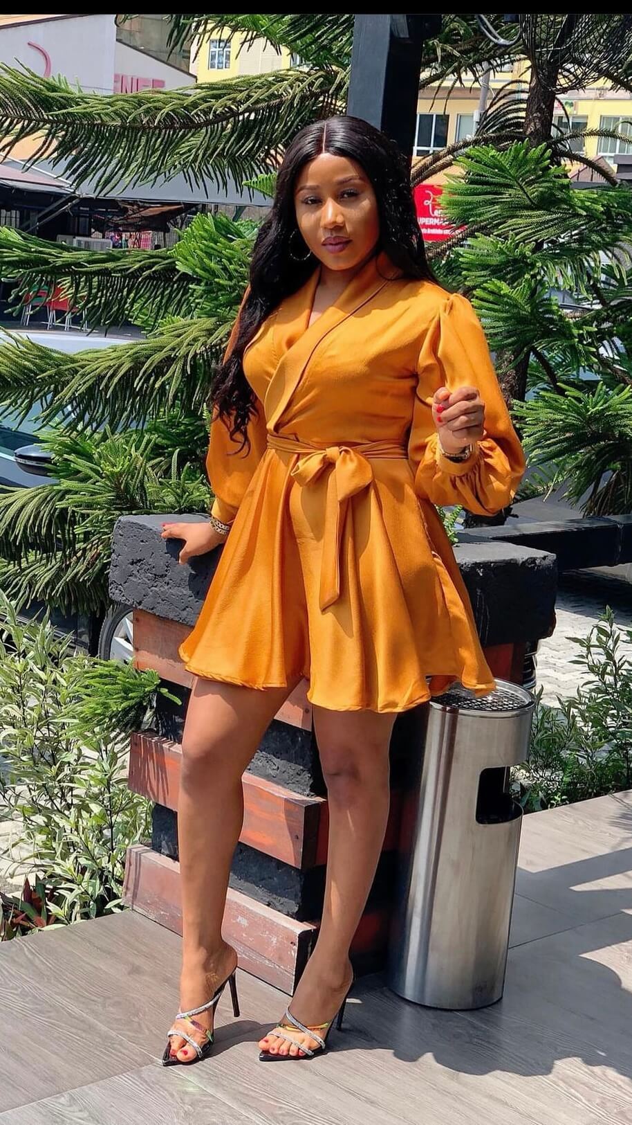 Emily silk dress - House of Naya