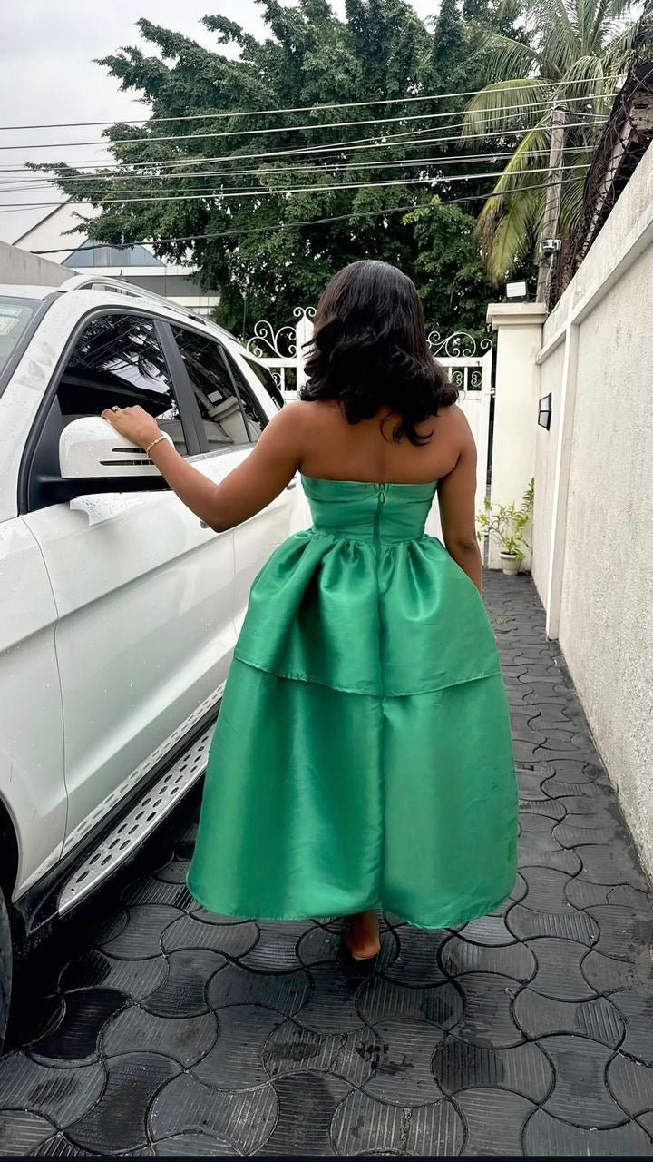 Danny mikado dress - House of Naya