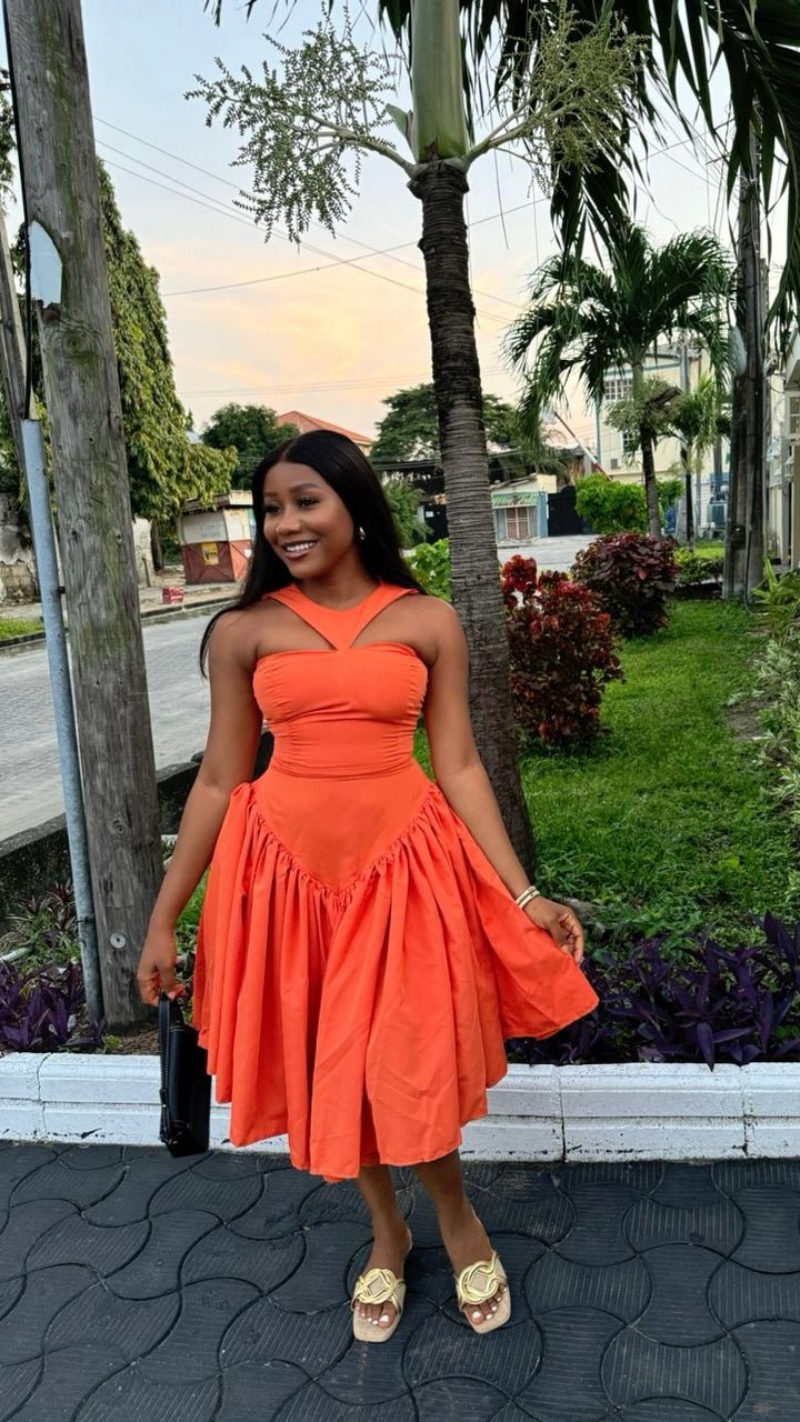 Princess cotton dress(ready to wear) - House of Naya